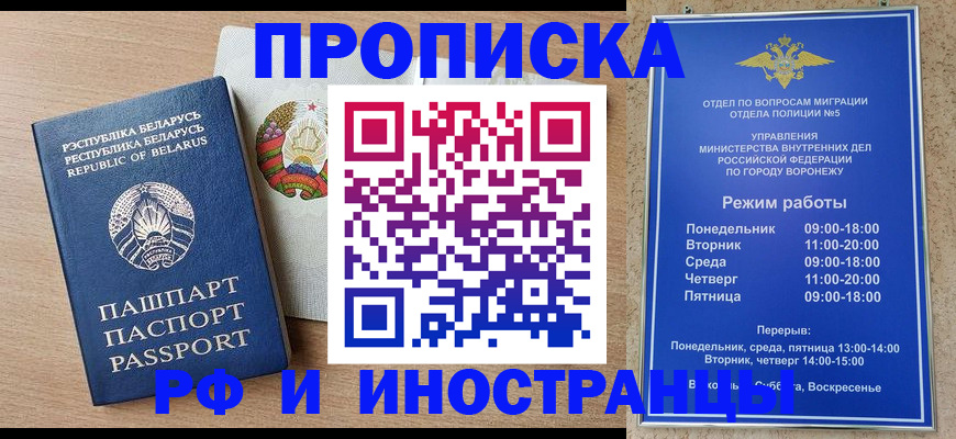 пропишу в квартире в Светогорске
